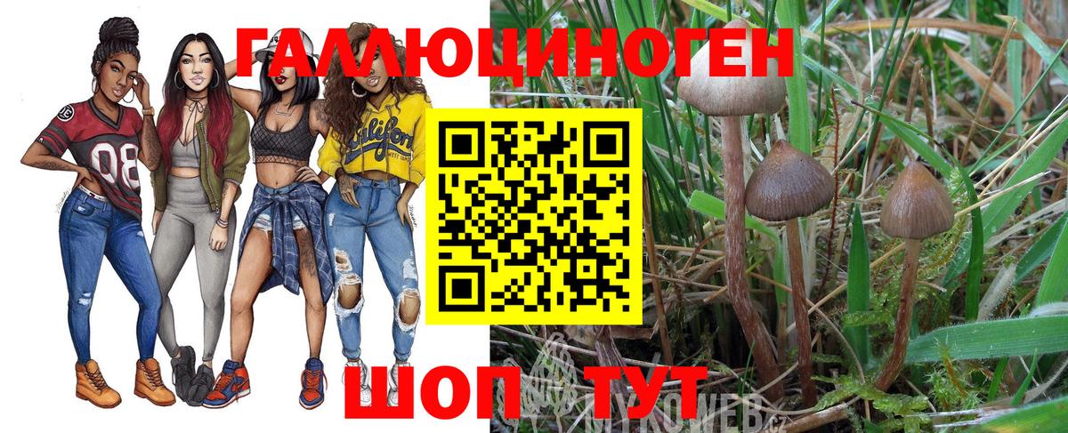 Борисоглебск  Псилоцибиновые грибы мицелий  Вход с VPN  Псилоцибиновые грибы Psilocybine cubensis 